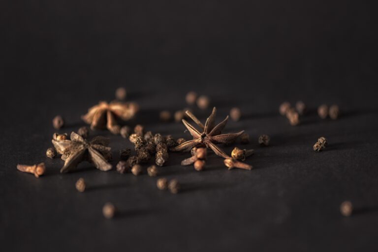 The Power of Anise Seed: History, Benefits, and Culinary Uses