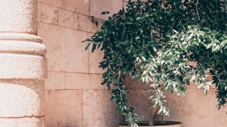 Discovering Sten Ekberg: A Swedish Innovator
