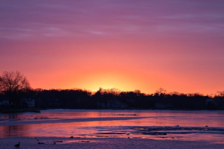 Stamford Pediatrics: Expert Care for Your Child