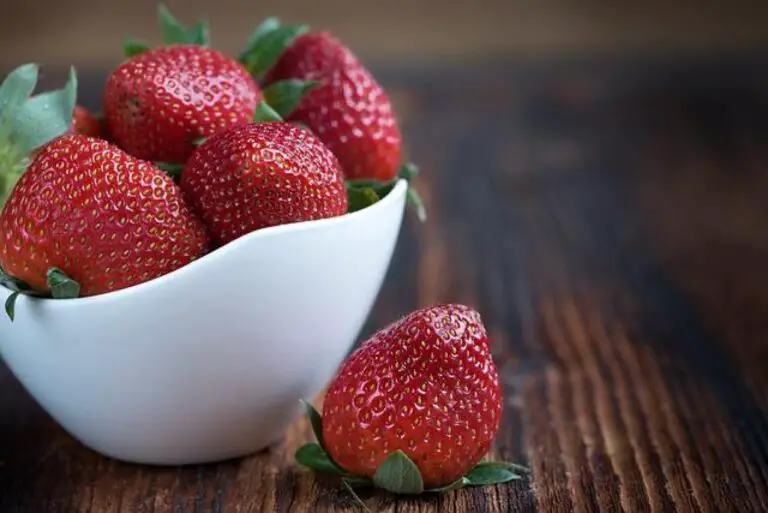Discover the Juicy Benefits of Terry Berry