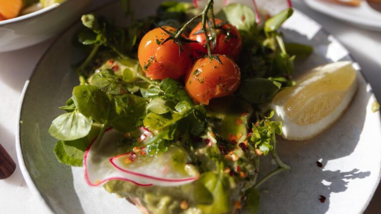 Janis Hansen: A Look at Her Life and Career