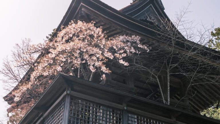 Who is Jennifer Newman? Exploring the Life and Career of Jennifer Newman