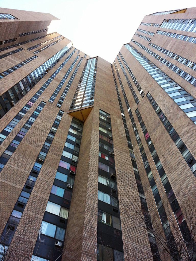 Understanding RPT Bronx: What You Need to Know