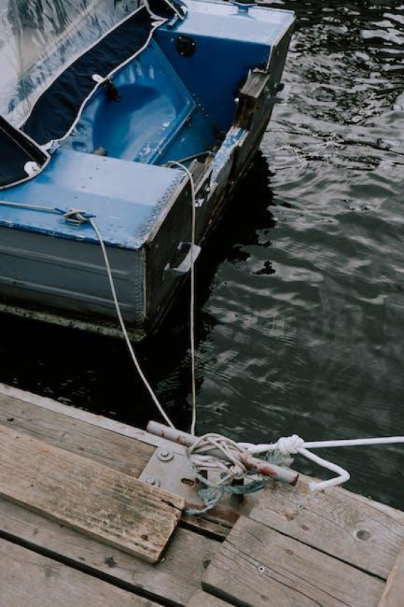 Sara Stern: Exploring the Life and Work of the Artist