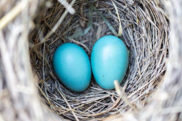 Top Rated Best Nest Pediatrics for Child Care