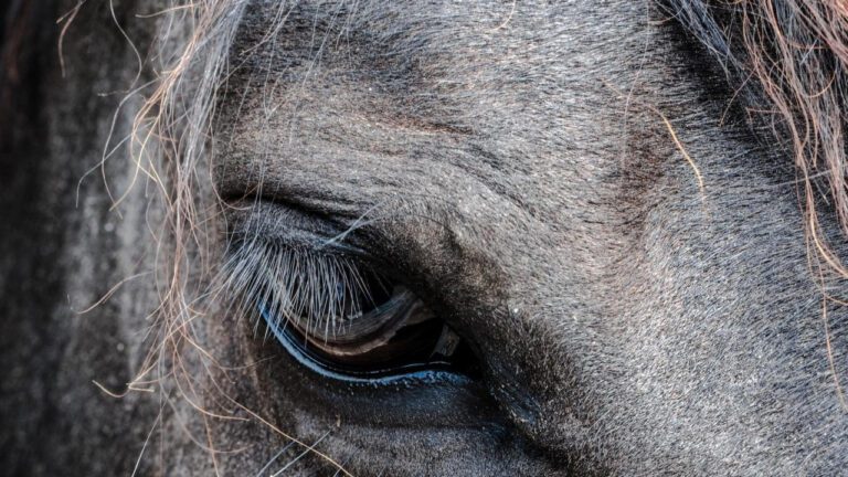 Clayton Eye Center: The Sight for Sore Eyes!