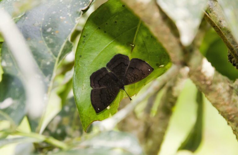 5 Failproof Ways to End it All with a Laugh