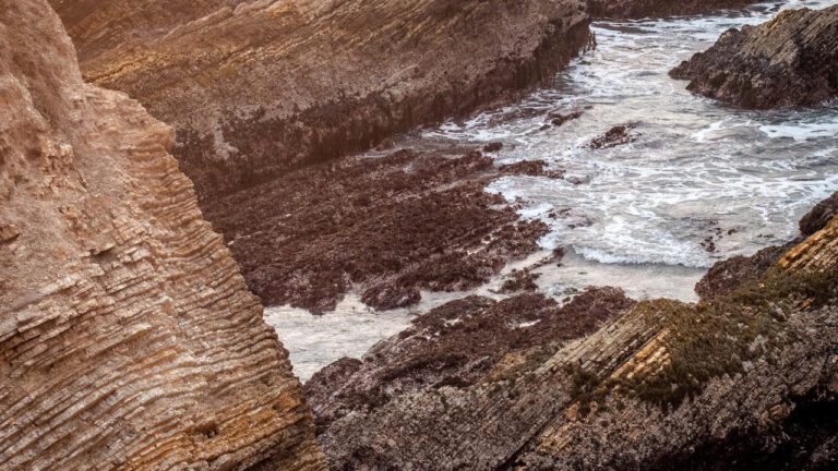 Luis Figueroa: The Man, The Myth, The Meme