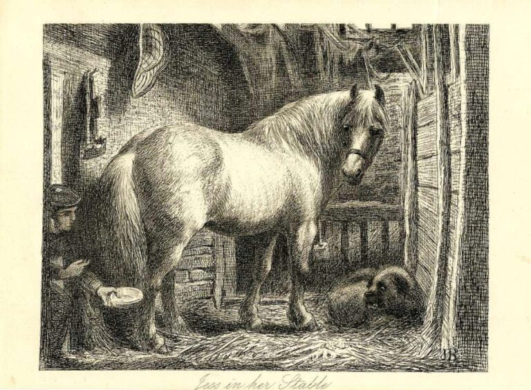 Jess Powell: The Unlikely Hero of Hilarity