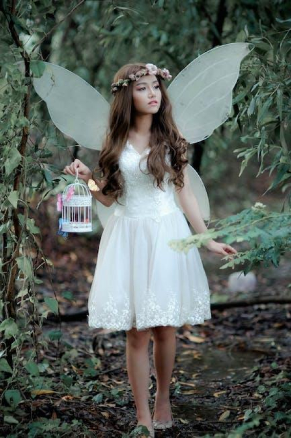 The Tooth Fairy’s Guide to Dental Magic