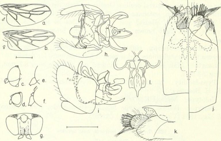 Exploring the Male G-Spot: Where to Find It