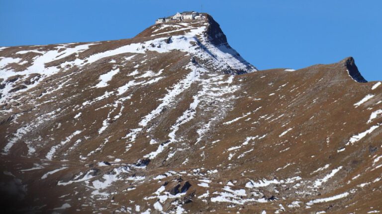 Meet the Married at First Sight Season 12 Cast