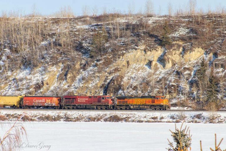 Key Components of High Quality CPR