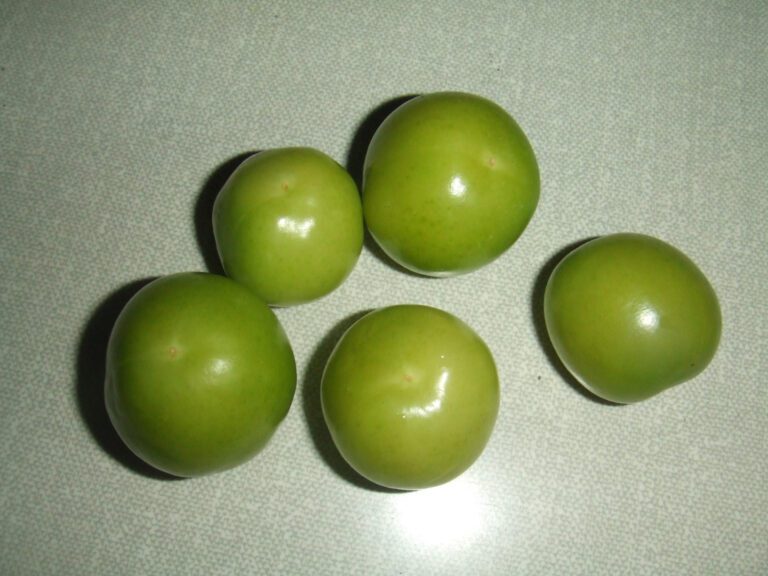 Erik and Virginia’s Journey on Married at First Sight