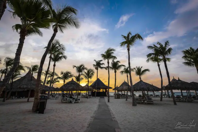Top 5 Star Hotels: Ultimate Luxury Accommodations