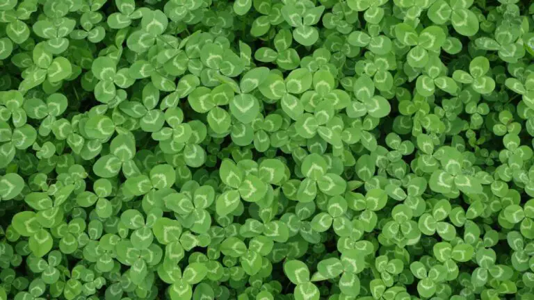 Why Am I Coughing Up Green Mucus: Causes and Treatment