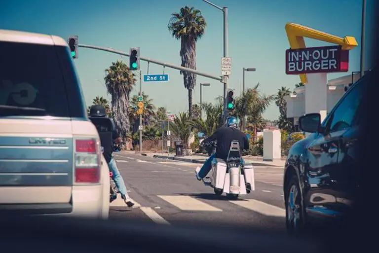 Exploring the Deliciousness of In-N-Out’s Animal Fries