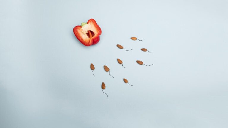 The Ultimate Guide to Surrogacy Cost: What You Need to Know