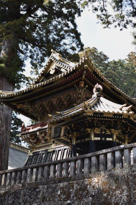 Exploring the Life and Career of Nikki Acox