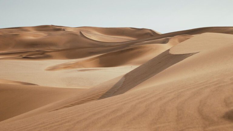 Uncovering the Truth: Are Sand Dollars Dangerous?