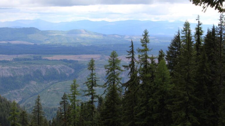 Joe the Plumber LLC: Quality Plumbing Services