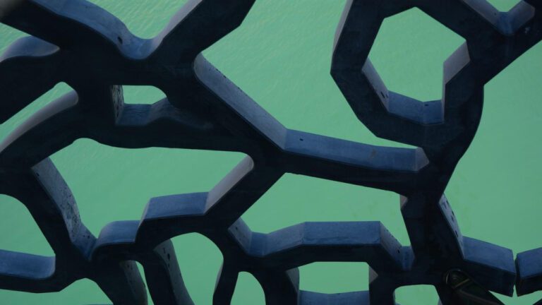 Exploring the Shape of Stars: Are They Round?