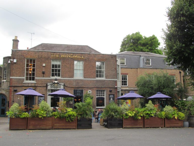 Southside Common: Where the Wild Things Are… Not