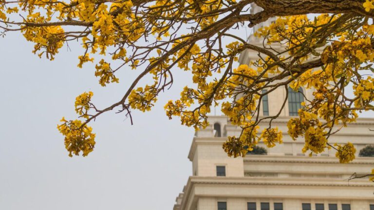 Gia BGC: The Reality TV Queen We Love to Hate