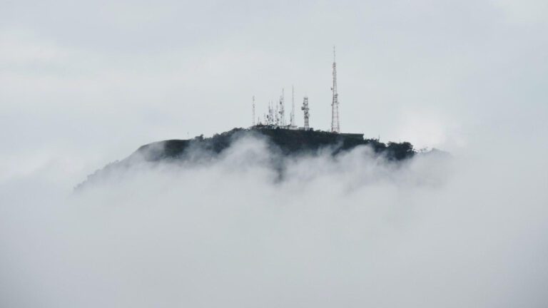 The Top Cops of Memphis: A Comical Rundown