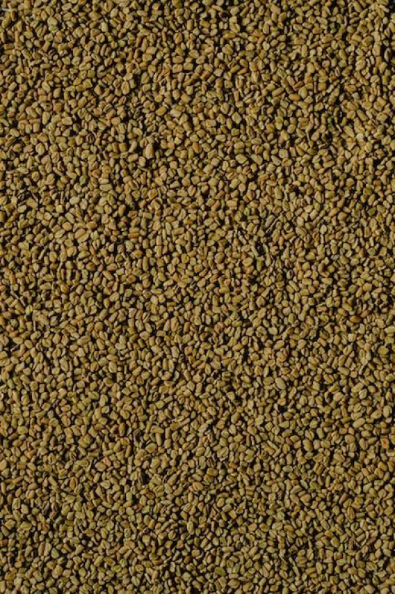 The Surprising Benefits of Fenugreek for Women