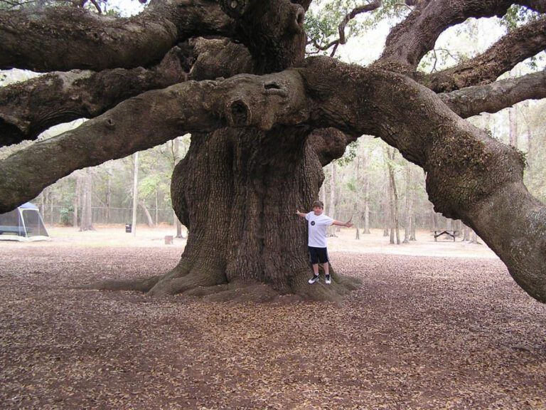 Angel Reese’s Unsporting Behavior Examined