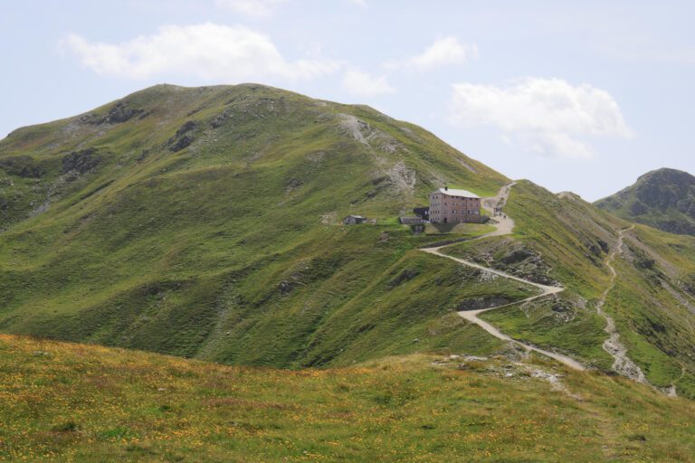 The Witty World of Richard Spitz: Laughing All the Way!