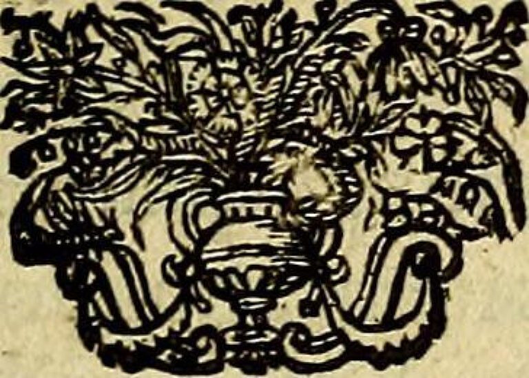 Tami Roman’s Daughters: A Closer Look