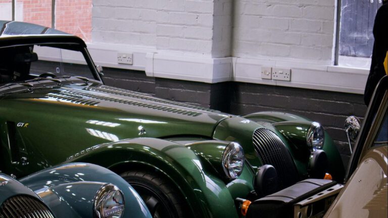 The Fascinating Love Story of Morgan Freeman and Myrna Colley Lee