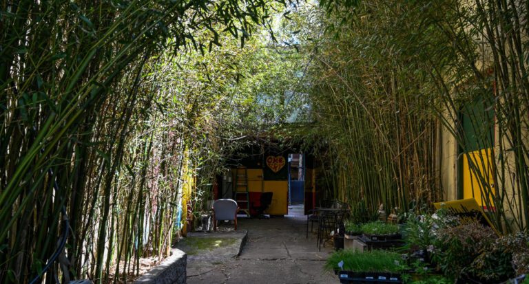 Mumia Abu Jamal: 2024 Updates and Insights