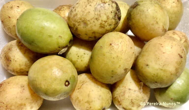 Prune Juice for Constipation: Benefits and Usage Tips