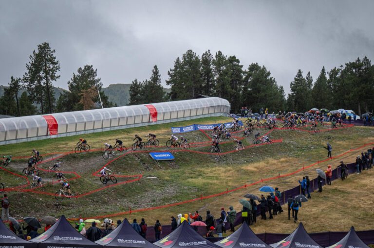 Laurie Walters: Career, Influence, and Impact