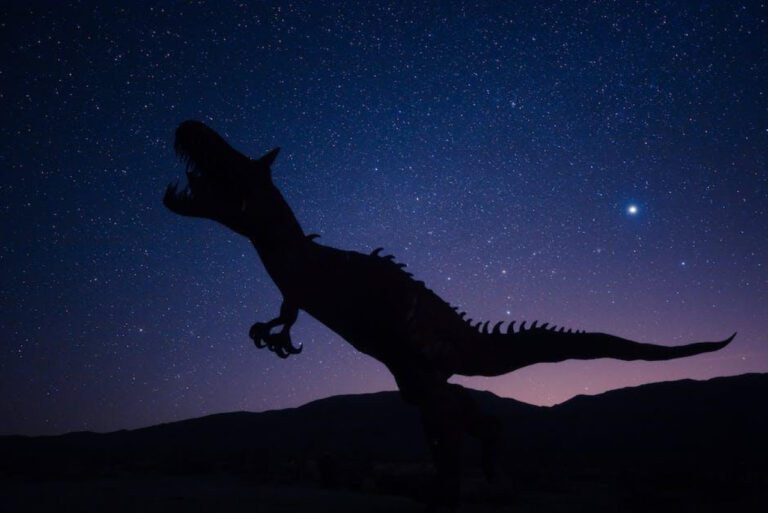 Exploring Monster Alcohol Drinks: What You Need to Know