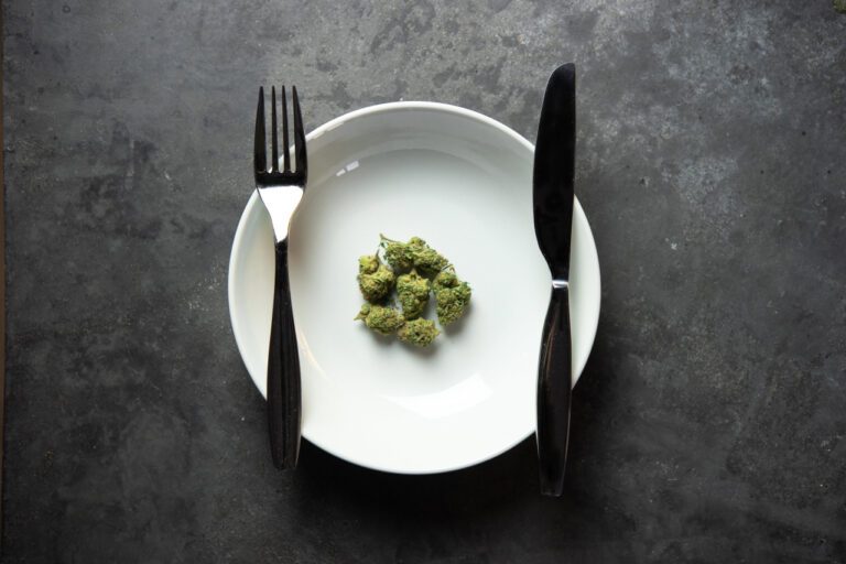 The Impact of Dinner Plate Size on Portion Control and Weight Management