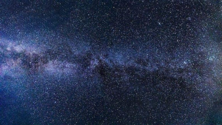 Starry vs. Sierra Mist: What’s the Difference?