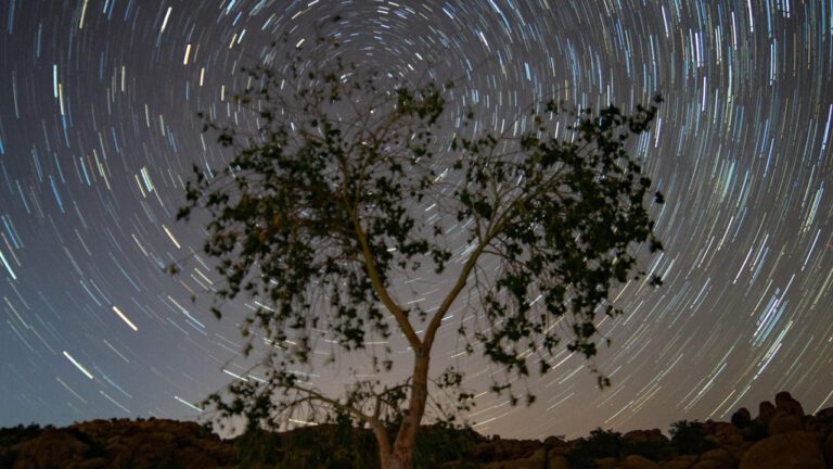 Exploring the Impact of Emma Watson Deepfake Videos