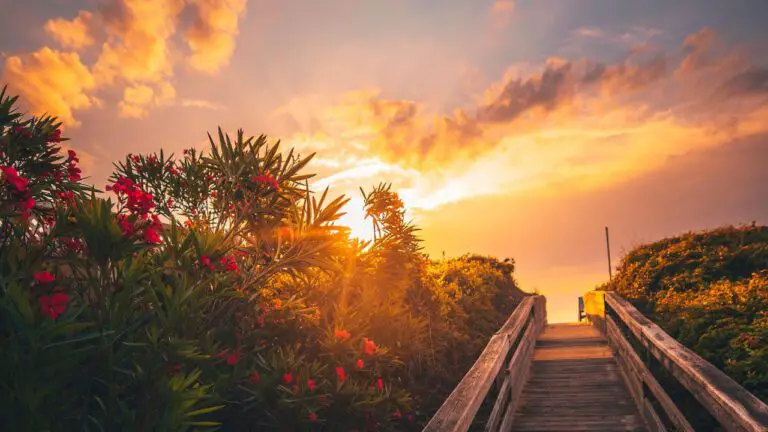 The Ultimate Guide to the Outer Banks Cast