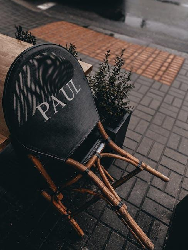 The Ultimate Guide to Jake Paul PFL: Everything You Need to Know