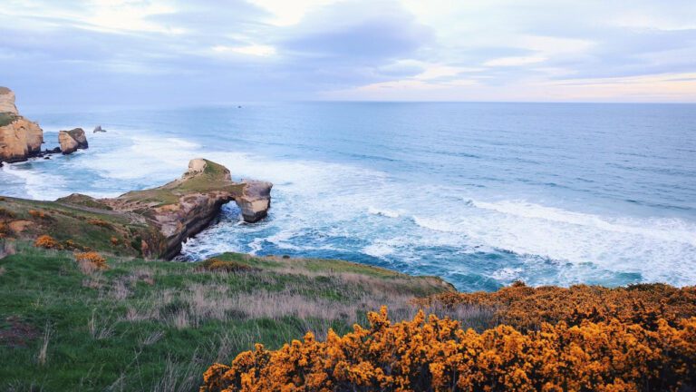 Effective Blackhead in Ear Removal Methods