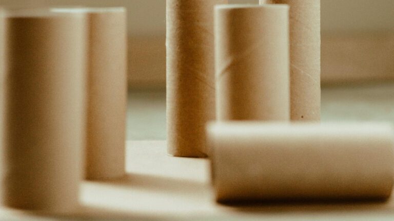 Understanding Septic Uterus: Causes, Symptoms, and Treatment