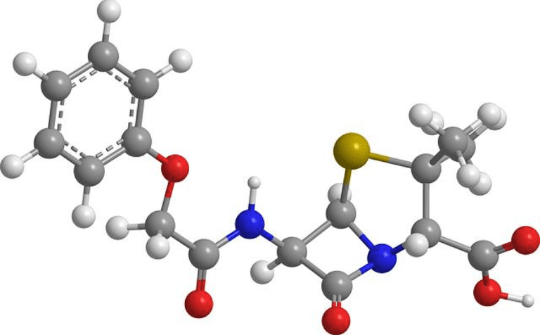 Amoxicillin vs Cephalexin: Battle of the Antibiotics