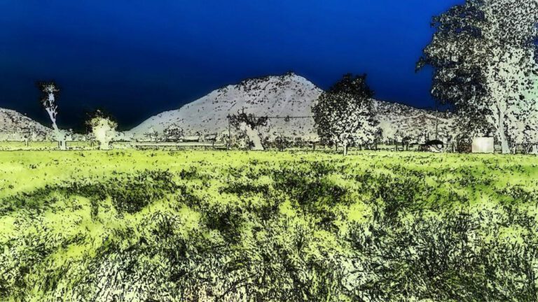 Sneezing and Wheezing: The Price of Allergy Tests!