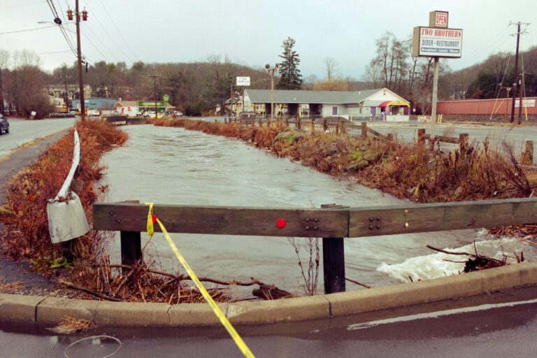 CT Scan Costs: Is Your Insurance Scanning You?