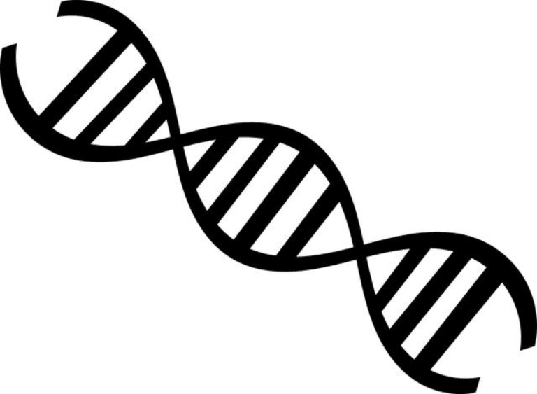 Genetic Testing Costs: A Comprehensive Guide