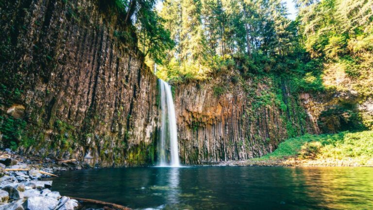 Exploring Tambark Creek Elementary: Top School in WA